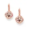 'Tansy' Tailored Rose Gold Earrings  thumbnail
