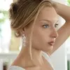 2. 'Renee' Cubic Zirconia Mosaic Wedding Earrings with Teardrop thumbnail